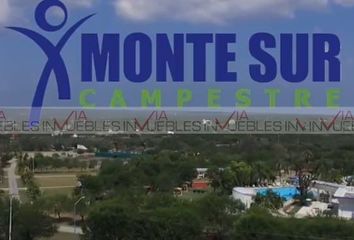 Lote de Terreno en  Montemorelos Centro, Montemorelos