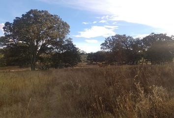 Lote de Terreno en  Amealco De Bonfil, Querétaro, Mex