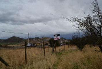 Parcela en  Colina, Chacabuco