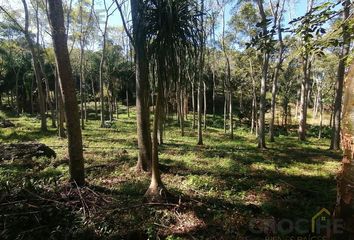 Lote de Terreno en  Coatepec Centro, Coatepec, Veracruz