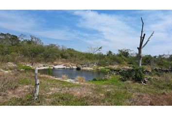 Lote de Terreno en  Río Lagartos, Yucatán