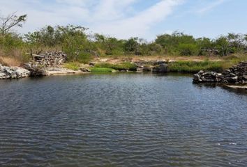 Lote de Terreno en  Río Lagartos, Yucatán