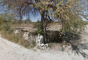 Lote de Terreno en  Ejido San José De Turrubiartes, Cerritos, San Luis Potosí, Mex