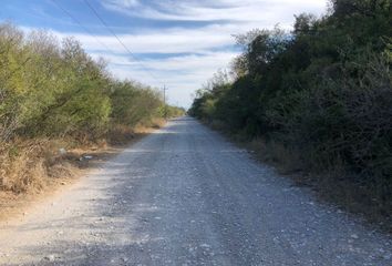 5 tierras en venta en Bustamante, Nuevo León 