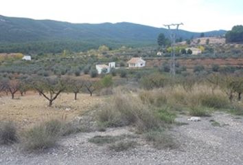Terreno en  Cehegin, Murcia Provincia