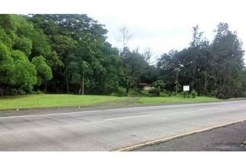 Lotes y Terrenos en  Las Cumbres, Ciudad De Panamá