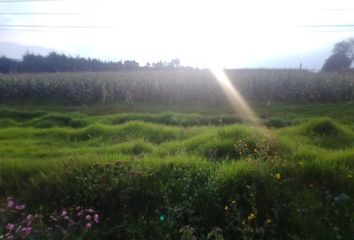 Lote de Terreno en  San Pedro, Almoloya De Juárez