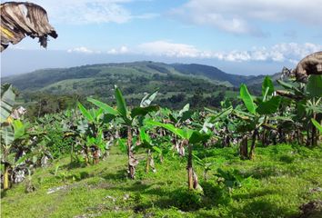 Lote de Terreno en  Guacarí, Valle Del Cauca