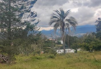 Terreno Comercial en  Puembo, Quito