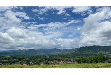 Lote de Terreno en  Palestina, Caldas