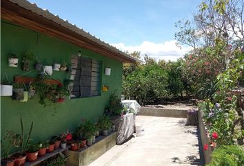 Terreno Comercial en  Guayllabamba, Quito