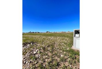 Terrenos en  General Cerri, Partido De Bahía Blanca