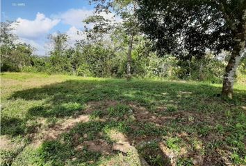Finca/Hacienda en  Chiguiri Arriba, Penonome, Cocle, Pan