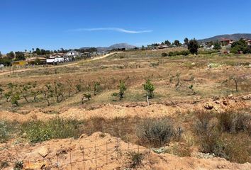 Lote de Terreno en  Principal 1-205, Francisco Zarco, Ensenada, Baja California, 22750, Mex