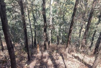 Lote de Terreno en  Amealco De Bonfil, Querétaro, Mex