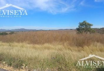 Lote de Terreno en  Pueblo Alcoyonqui, Culiacán