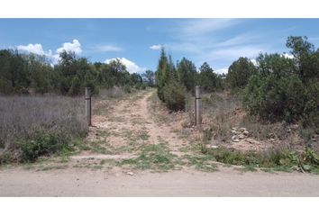 Lote de Terreno en  Tetla De La Solidaridad, Tlaxcala