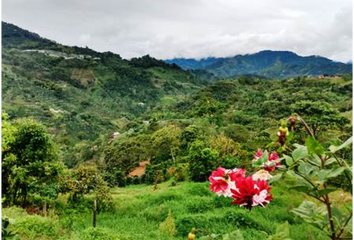 Lote de Terreno en  Jardín, Antioquia