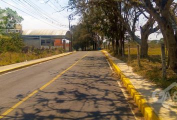 Lote de Terreno en  El Lencero, Municipio De Emiliano Zapata (veracruz)