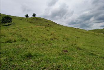 Finca/Hacienda en  Paritilla, Pocrí