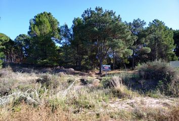 Terrenos en  Otro, Monte Hermoso