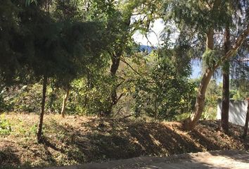 Lote de Terreno en  Santa María Ahuacatlan, Valle De Bravo