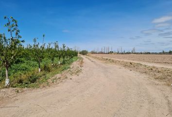 Terrenos en  Maipú, Mendoza