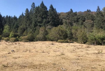 Lote de Terreno en  Mineral Del Chico, Hidalgo, Mex