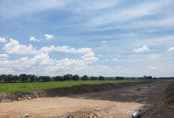 Lote de Terreno en  Nicolás Bravo, Ejido La Norita, Apaseo El Grande, Guanajuato, 38185, Mex