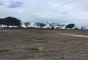 Terreno Comercial en  2m El Aromo, Manta, Manabí, Ecuador