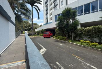 Apartment for rent in Primitivo Crespo, Cali