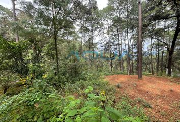 Lote de Terreno en  Avándaro, Valle De Bravo