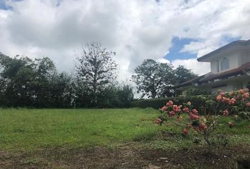 Terreno Comercial en  Av. Esmeraldas 113, Santo Domingo, Ecuador