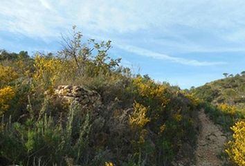 Terreno en  Segorbe, Castellón Provincia