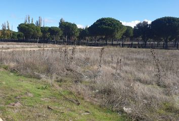 Terreno en  Aldeamayor De San Martin, Valladolid Provincia