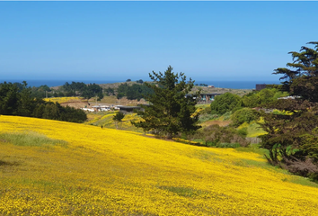 Parcela en  Pichilemu, Cardenal Caro