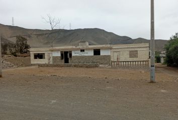 Terreno en  Av. Las Palmeras 53c, Chilca 15870, Perú