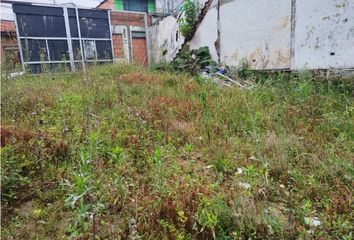 Lote de Terreno en  Chipre, Manizales