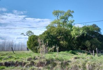 Terrenos en  Coronel Vidal, Partido De Mar Chiquita