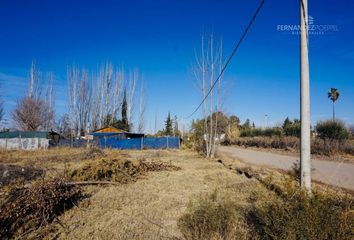 Terrenos en  Dorrego, Mendoza