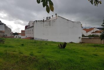 Terreno en  Zafra, Badajoz Provincia