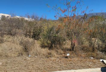 Lote de Terreno en  San Pedro El Álamo, Santiago, Nuevo León