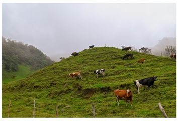Lote de Terreno en  Sasaima, Cundinamarca