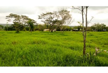 Lote de Terreno en  El Lencero, Municipio De Emiliano Zapata (veracruz)