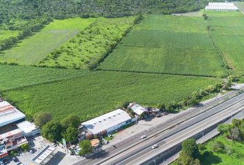 Lote de Terreno en  Pueblo Ahuehuetzingo, Puente De Ixtla