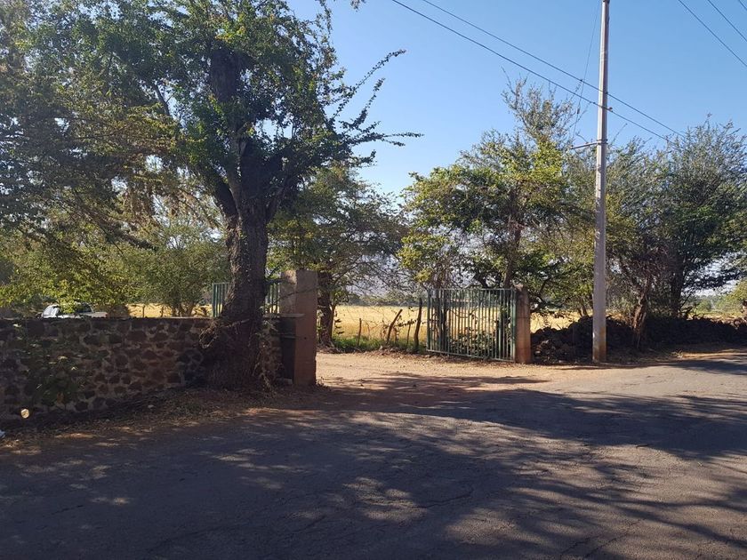 venta Lote de Terreno en Atoyac, Jalisco, Jalisco (EB-KJ4431s)