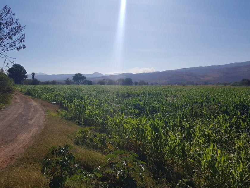 venta Lote de Terreno en Atoyac, Jalisco, Jalisco (EB-KJ4431s)