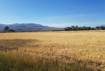 9 lotes de terrenos en venta en Atoyac, Jalisco 