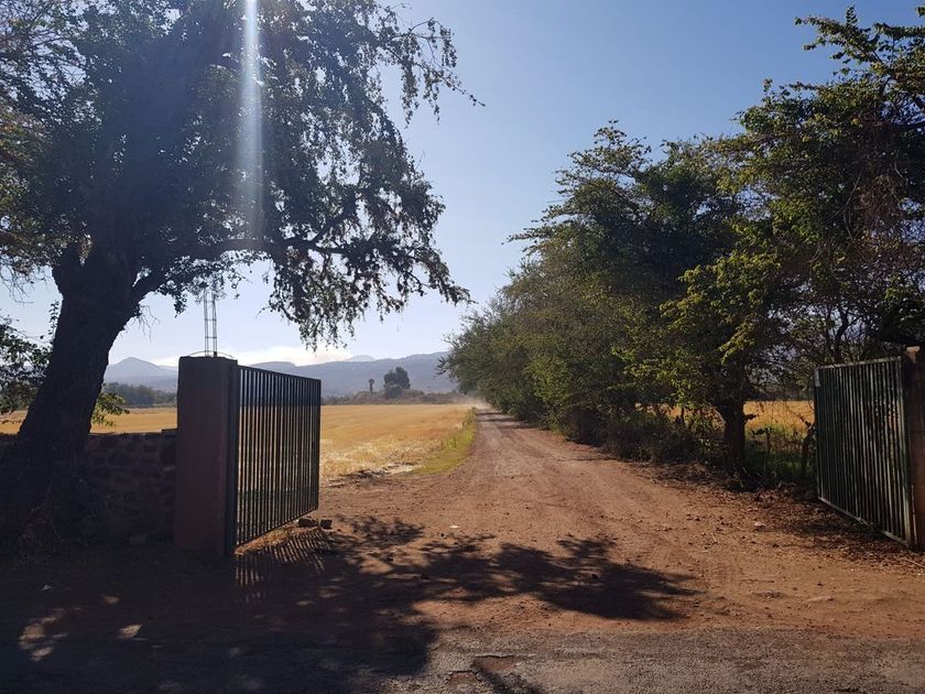 venta Lote de Terreno en Atoyac, Jalisco, Jalisco (EB-KJ4431s)