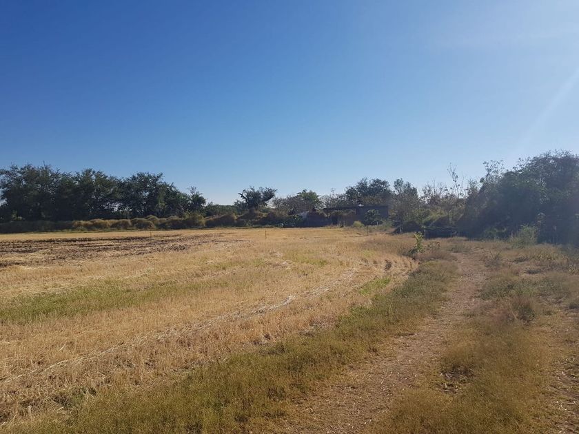 venta Lote de Terreno en Atoyac, Jalisco, Jalisco (EB-KJ4431s)